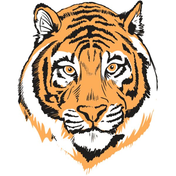 AR9 TIGER HEAD RQC Thumbnail